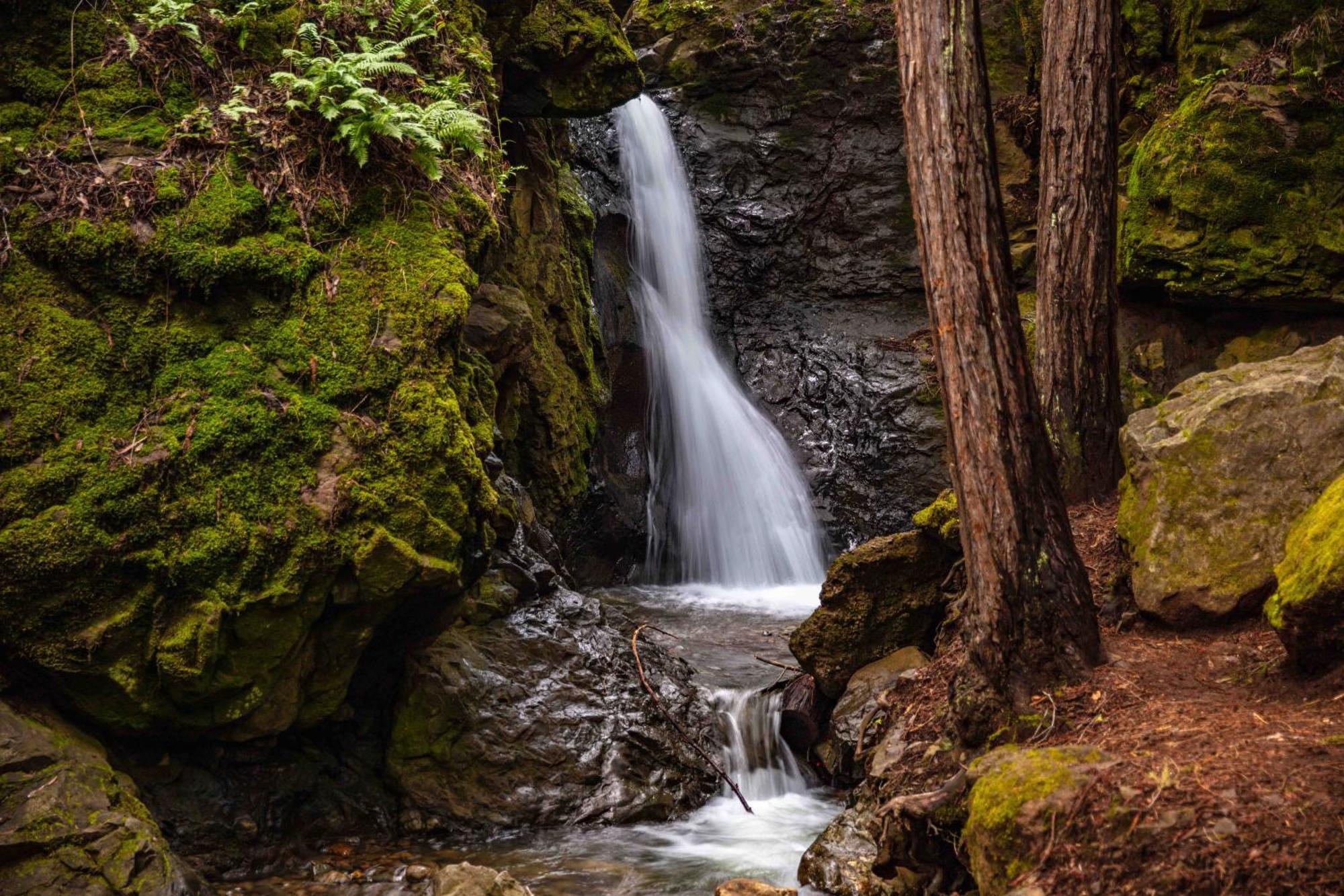 Enchanted Waterfall Sanctuary Mill Valley Buitenkant foto